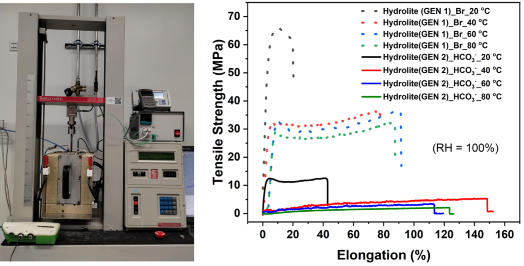 Exploring the Impact of Membrane Characteristics on CO2 Electrolysis Performance